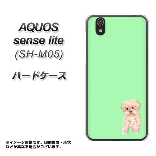 アクオス センス ライト SH-M05 高画質仕上げ 背面印刷 ハードケース【YJ063 トイプードルアプリコット(グリーン)】