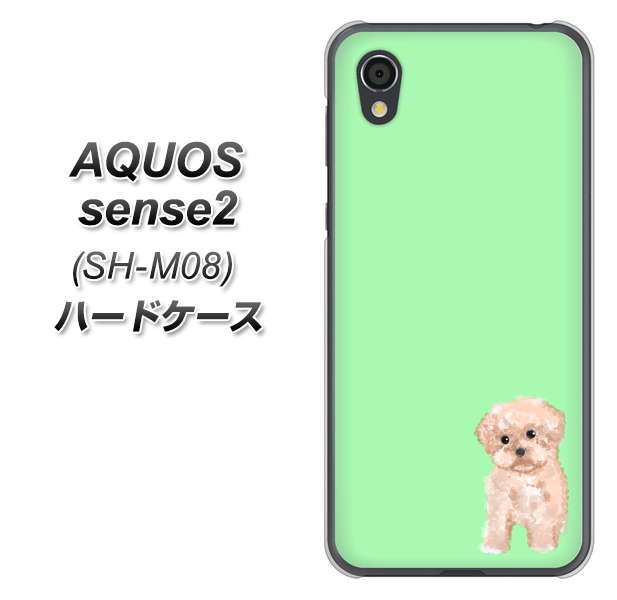 アクオスセンス2 SH-M08 高画質仕上げ 背面印刷 ハードケース【YJ063 トイプードルアプリコット(グリーン)】