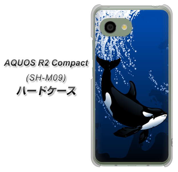 アクオス R2 コンパクト SH-M09 高画質仕上げ 背面印刷 ハードケース【423 シャチ】
