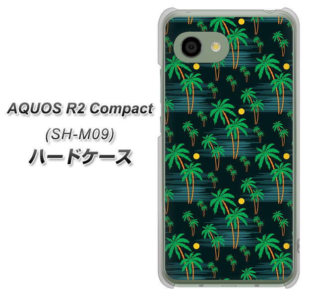 アクオス R2 コンパクト SH-M09 高画質仕上げ 背面印刷 ハードケース【1315 月夜とヤシ】