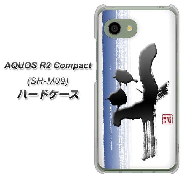 アクオス R2 コンパクト SH-M09 高画質仕上げ 背面印刷 ハードケース【OE829 斗】