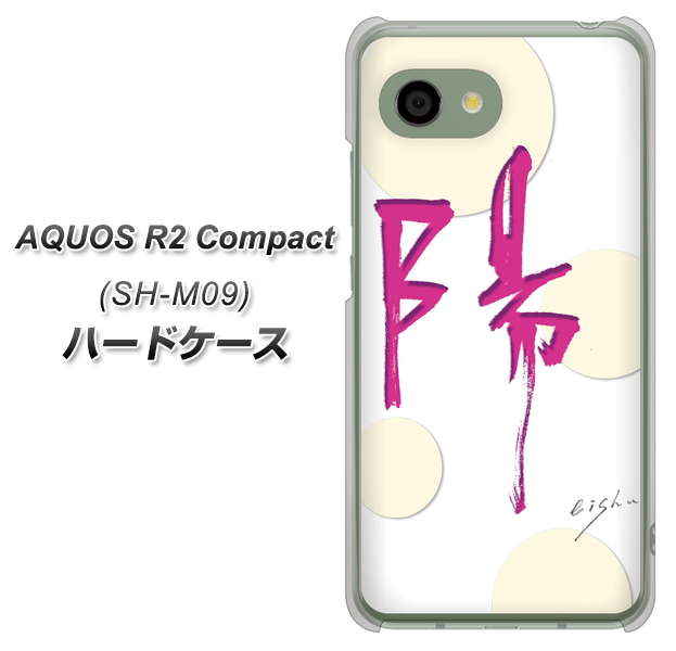 アクオス R2 コンパクト SH-M09 高画質仕上げ 背面印刷 ハードケース【OE833 陽】