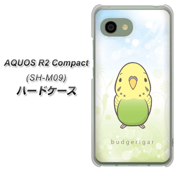 アクオス R2 コンパクト SH-M09 高画質仕上げ 背面印刷 ハードケース【SC838 セキセイインコ グリーン】