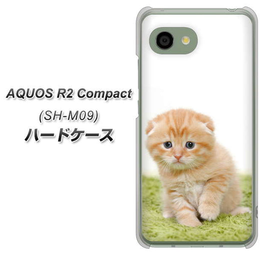アクオス R2 コンパクト SH-M09 高画質仕上げ 背面印刷 ハードケース【VA802 ネコこっそり】