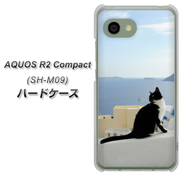 アクオス R2 コンパクト SH-M09 高画質仕上げ 背面印刷 ハードケース【VA805 ネコと地中海】