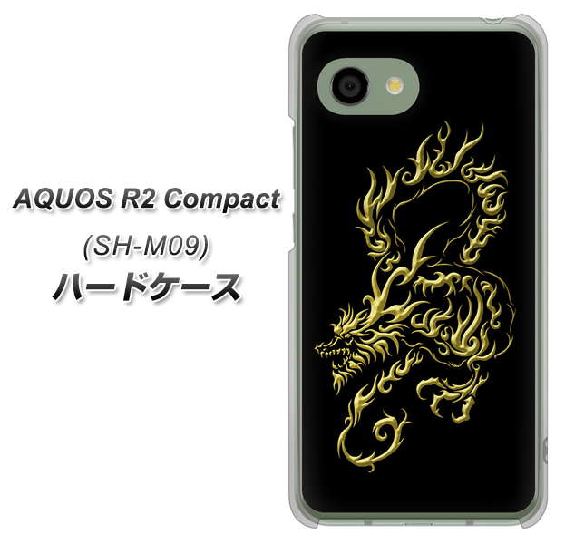 アクオス R2 コンパクト SH-M09 高画質仕上げ 背面印刷 ハードケース【VA831 闇と龍】