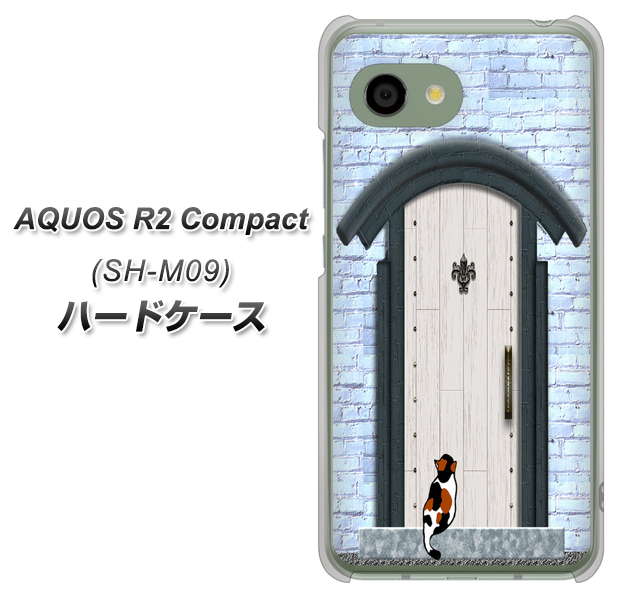 アクオス R2 コンパクト SH-M09 高画質仕上げ 背面印刷 ハードケース【YA951 石ドア01】