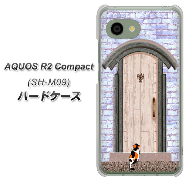 アクオス R2 コンパクト SH-M09 高画質仕上げ 背面印刷 ハードケース【YA952 石ドア02 素材クリア】