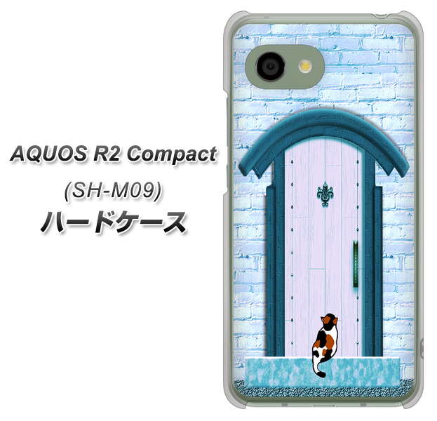 アクオス R2 コンパクト SH-M09 高画質仕上げ 背面印刷 ハードケース【YA953 石ドア03 素材クリア】