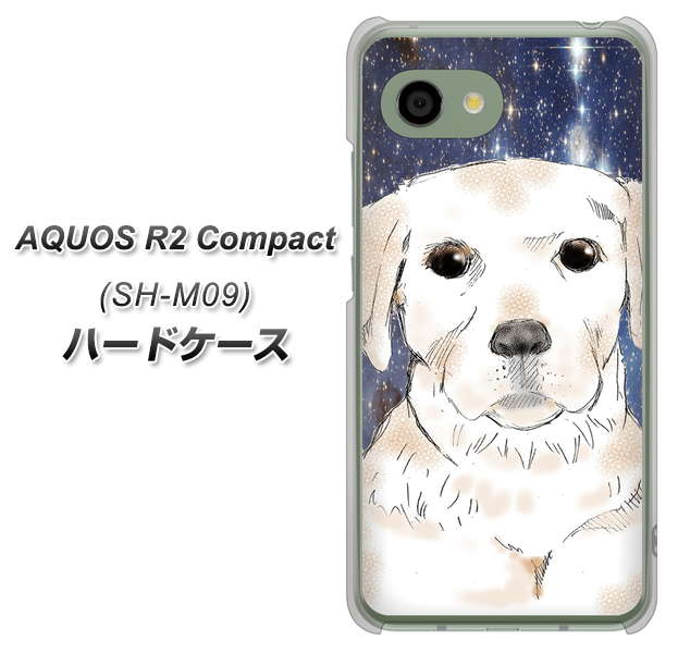 アクオス R2 コンパクト SH-M09 高画質仕上げ 背面印刷 ハードケース【YD820 ラブラドールレトリバー01】