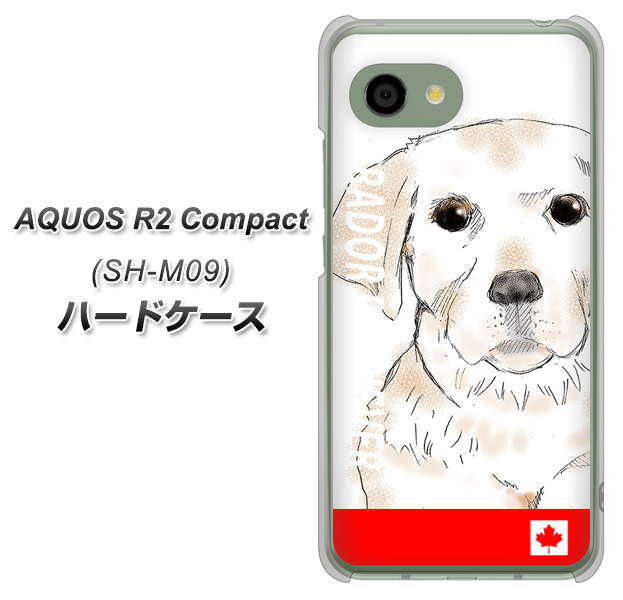 アクオス R2 コンパクト SH-M09 高画質仕上げ 背面印刷 ハードケース【YD821 ラブラドールレトリバー02】
