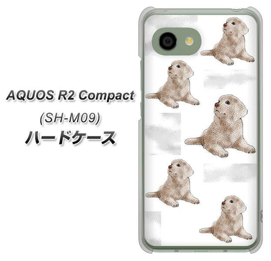 アクオス R2 コンパクト SH-M09 高画質仕上げ 背面印刷 ハードケース【YD823 ラブラドールレトリバー04】