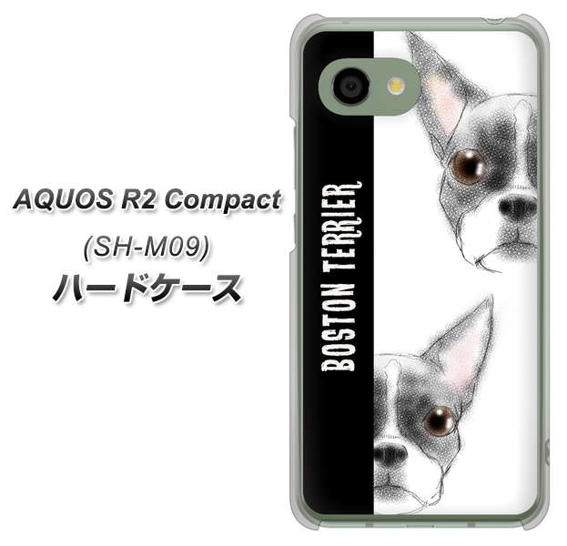 アクオス R2 コンパクト SH-M09 高画質仕上げ 背面印刷 ハードケース【YD850 ボストンテリア01】