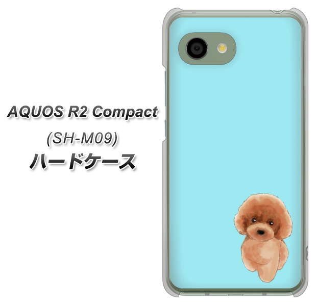 アクオス R2 コンパクト SH-M09 高画質仕上げ 背面印刷 ハードケース【YJ050 トイプードルレッド(ブルー)】