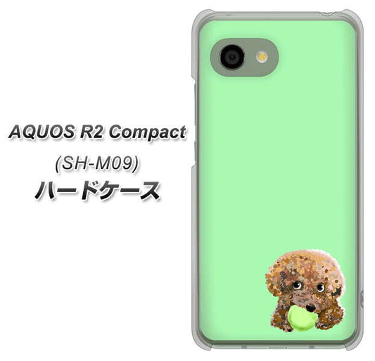 アクオス R2 コンパクト SH-M09 高画質仕上げ 背面印刷 ハードケース【YJ055 トイプードル&ボール(グリーン)】