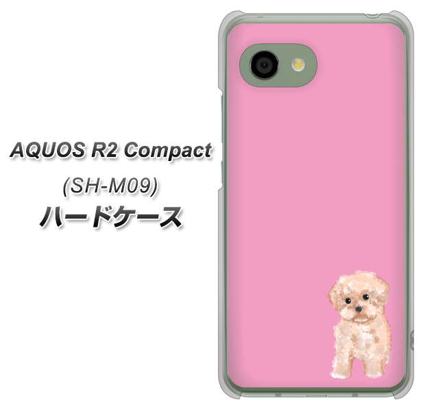 アクオス R2 コンパクト SH-M09 高画質仕上げ 背面印刷 ハードケース【YJ061 トイプードルアプリコット(ピンク)】