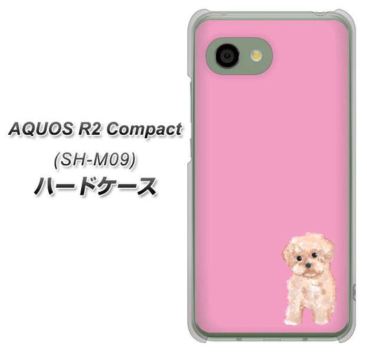 アクオス R2 コンパクト SH-M09 高画質仕上げ 背面印刷 ハードケース【YJ061 トイプードルアプリコット(ピンク)】