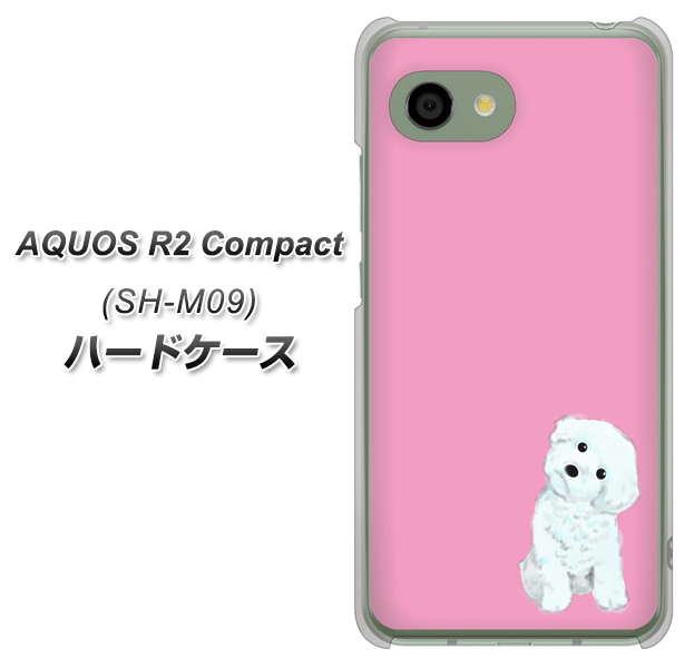 アクオス R2 コンパクト SH-M09 高画質仕上げ 背面印刷 ハードケース【YJ069 トイプードルホワイト(ピンク)】