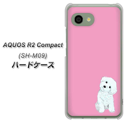 アクオス R2 コンパクト SH-M09 高画質仕上げ 背面印刷 ハードケース【YJ069 トイプードルホワイト(ピンク)】