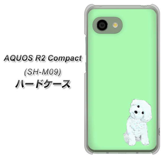 アクオス R2 コンパクト SH-M09 高画質仕上げ 背面印刷 ハードケース【YJ071 トイプードルホワイト(グリーン)】