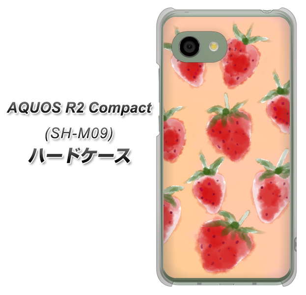 アクオス R2 コンパクト SH-M09 高画質仕上げ 背面印刷 ハードケース【YJ179 イチゴ 水彩179】
