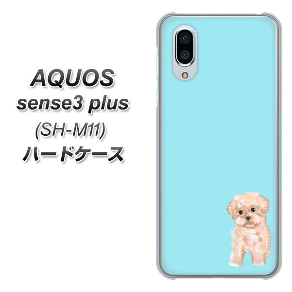 simフリー アクオスセンス3 プラス SH-M11 高画質仕上げ 背面印刷 ハードケース【YJ062 トイプードルアプリコット(ブルー)】