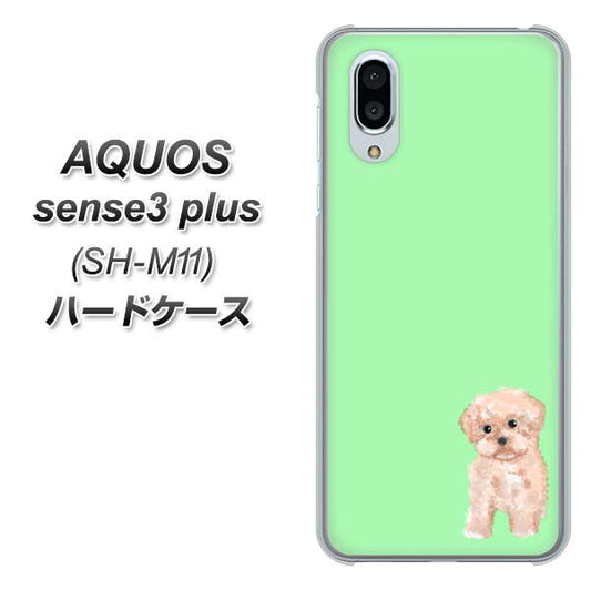simフリー アクオスセンス3 プラス SH-M11 高画質仕上げ 背面印刷 ハードケース【YJ063 トイプードルアプリコット(グリーン)】