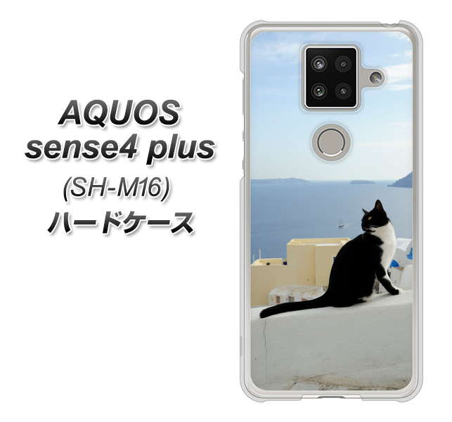 楽天モバイル アクオスセンス4 プラス SH-M16 高画質仕上げ 背面印刷 ハードケース【VA805 ネコと地中海】