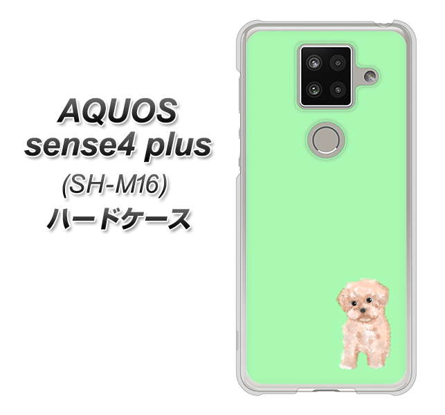 楽天モバイル アクオスセンス4 プラス SH-M16 高画質仕上げ 背面印刷 ハードケース【YJ063 トイプードルアプリコット(グリーン)】