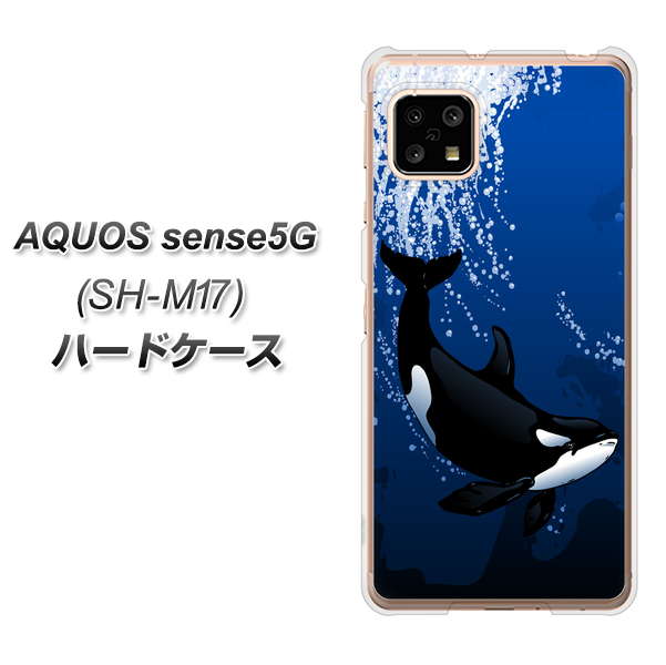 SIMフリー アクオスセンス5G SH-M17 高画質仕上げ 背面印刷 ハードケース【423 シャチ】