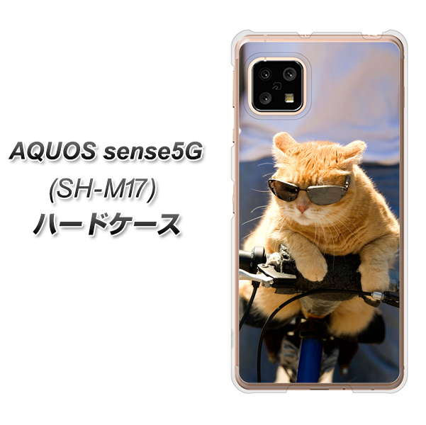 SIMフリー アクオスセンス5G SH-M17 高画質仕上げ 背面印刷 ハードケース【595 にゃんとサイクル】