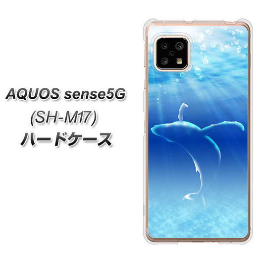 SIMフリー アクオスセンス5G SH-M17 高画質仕上げ 背面印刷 ハードケース【1047 海の守り神くじら】