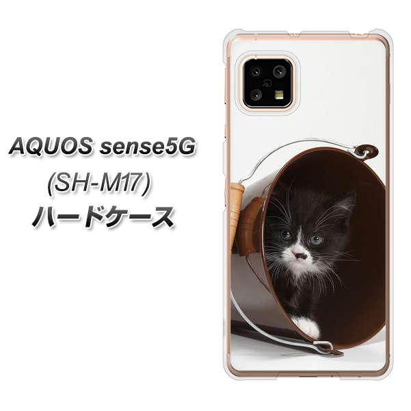 SIMフリー アクオスセンス5G SH-M17 高画質仕上げ 背面印刷 ハードケース【VA800 ネコとバケツ】
