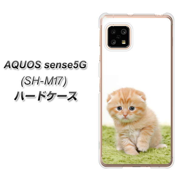 SIMフリー アクオスセンス5G SH-M17 高画質仕上げ 背面印刷 ハードケース【VA802 ネコこっそり】