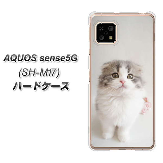 SIMフリー アクオスセンス5G SH-M17 高画質仕上げ 背面印刷 ハードケース【VA803 まっていますネコ】