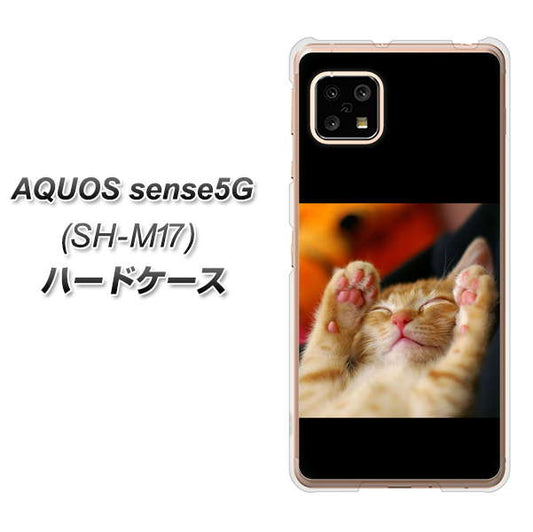 SIMフリー アクオスセンス5G SH-M17 高画質仕上げ 背面印刷 ハードケース【VA804 爆睡するネコ】