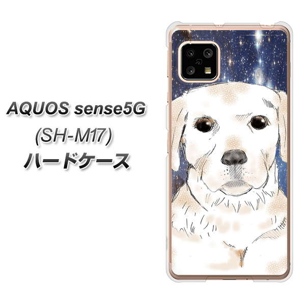 SIMフリー アクオスセンス5G SH-M17 高画質仕上げ 背面印刷 ハードケース【YD820 ラブラドールレトリバー01】