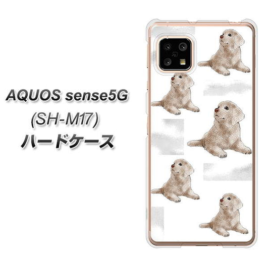SIMフリー アクオスセンス5G SH-M17 高画質仕上げ 背面印刷 ハードケース【YD823 ラブラドールレトリバー04】