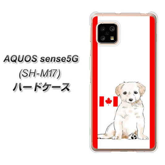 SIMフリー アクオスセンス5G SH-M17 高画質仕上げ 背面印刷 ハードケース【YD824 ラブラドールレトリバー05】