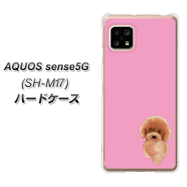 SIMフリー アクオスセンス5G SH-M17 高画質仕上げ 背面印刷 ハードケース【YJ049 トイプードルレッド(ピンク)】