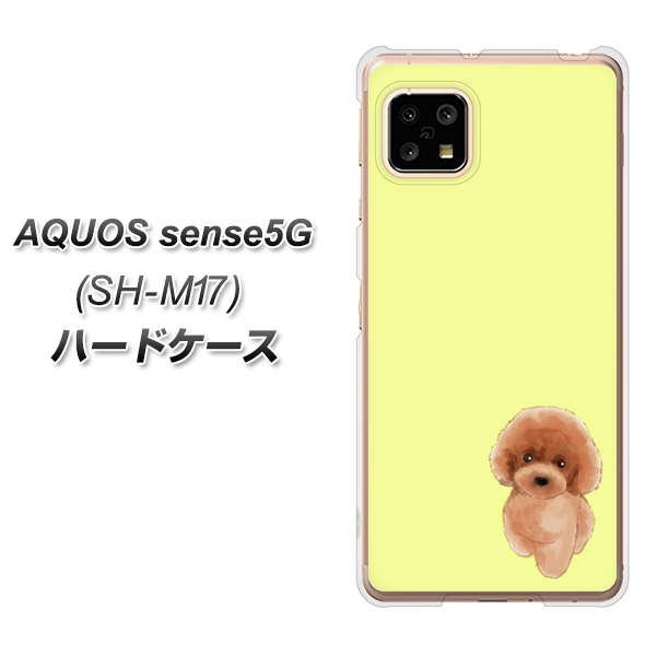 SIMフリー アクオスセンス5G SH-M17 高画質仕上げ 背面印刷 ハードケース【YJ051 トイプードルレッド(イエロー)】