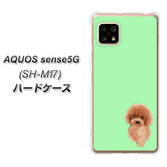 SIMフリー アクオスセンス5G SH-M17 高画質仕上げ 背面印刷 ハードケース【YJ052 トイプードルレッド( グリーン)】