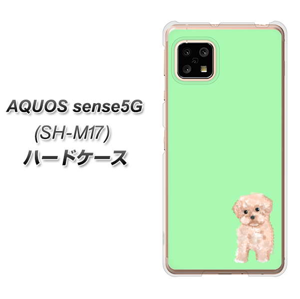 SIMフリー アクオスセンス5G SH-M17 高画質仕上げ 背面印刷 ハードケース【YJ063 トイプードルアプリコット(グリーン)】