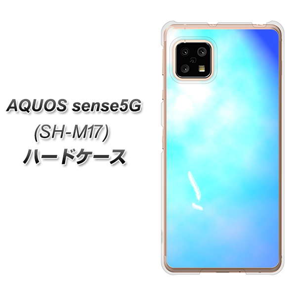 SIMフリー アクオスセンス5G SH-M17 高画質仕上げ 背面印刷 ハードケース【YJ291 デザイン 光】