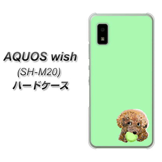 AQUOS wish SH-M20 高画質仕上げ 背面印刷 ハードケース【YJ055 トイプードル&ボール(グリーン)】