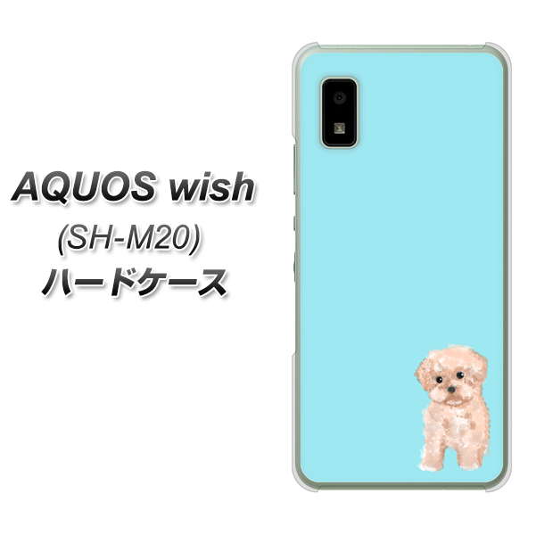 AQUOS wish SH-M20 高画質仕上げ 背面印刷 ハードケース【YJ062 トイプードルアプリコット(ブルー)】