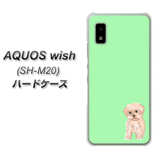 AQUOS wish SH-M20 高画質仕上げ 背面印刷 ハードケース【YJ063 トイプードルアプリコット(グリーン)】