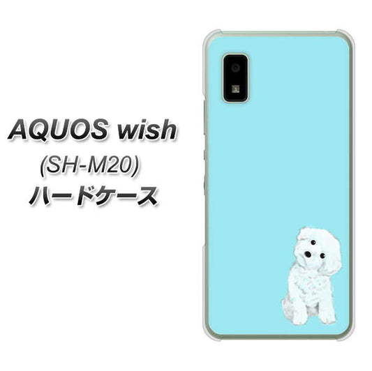 AQUOS wish SH-M20 高画質仕上げ 背面印刷 ハードケース【YJ070 トイプードルホワイト(ブルー)】