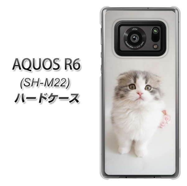 SIMフリー アクオスR6 SH-M22 高画質仕上げ 背面印刷 ハードケース【VA803 まっていますネコ】