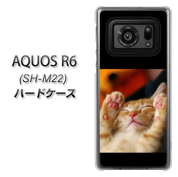 SIMフリー アクオスR6 SH-M22 高画質仕上げ 背面印刷 ハードケース【VA804 爆睡するネコ】